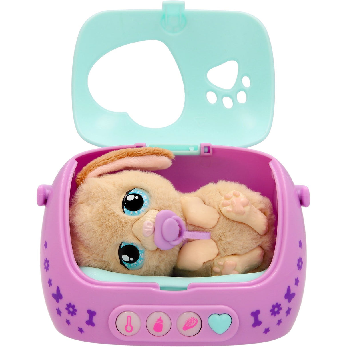 Baby Paws Just Born Hvalp