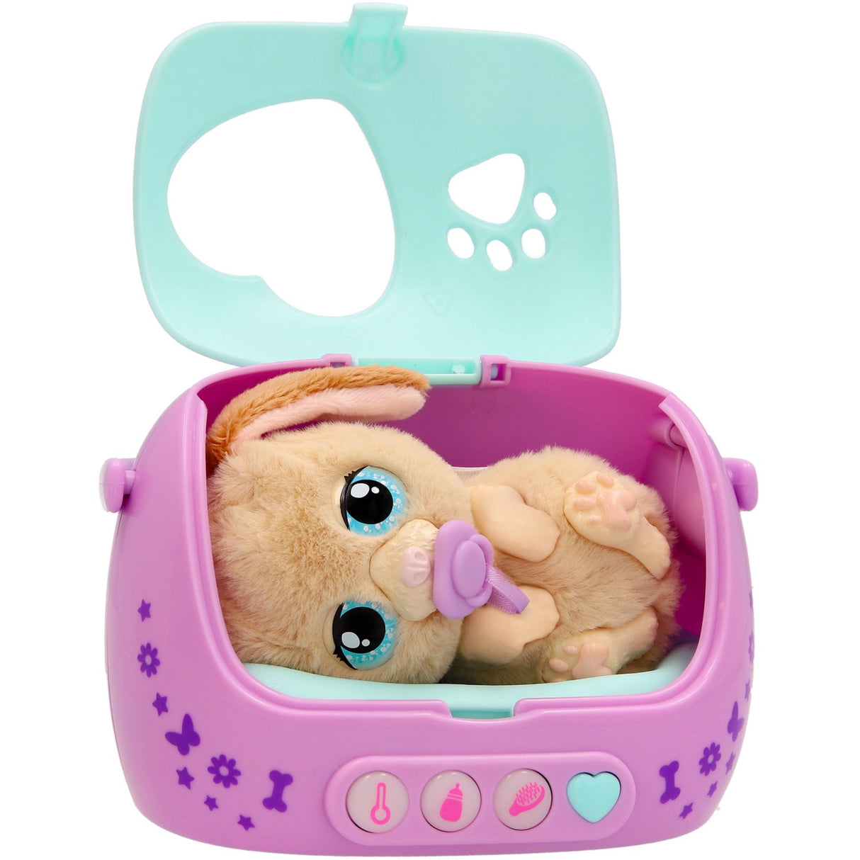 Baby Paws Just Born Hvalp