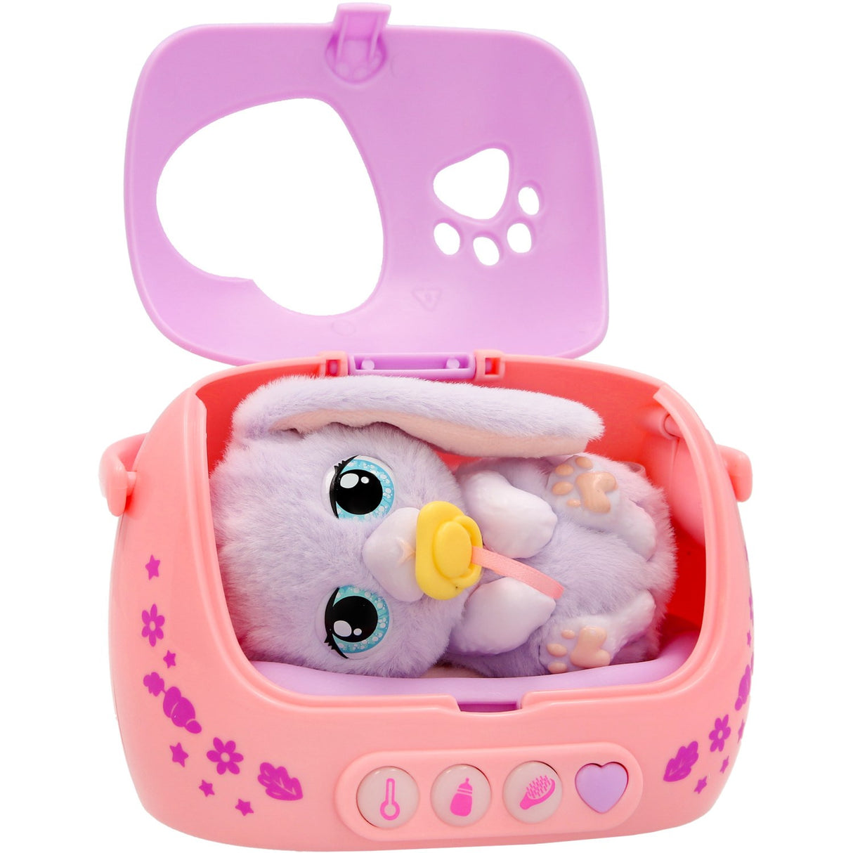 Baby Paws Just Born Kanin