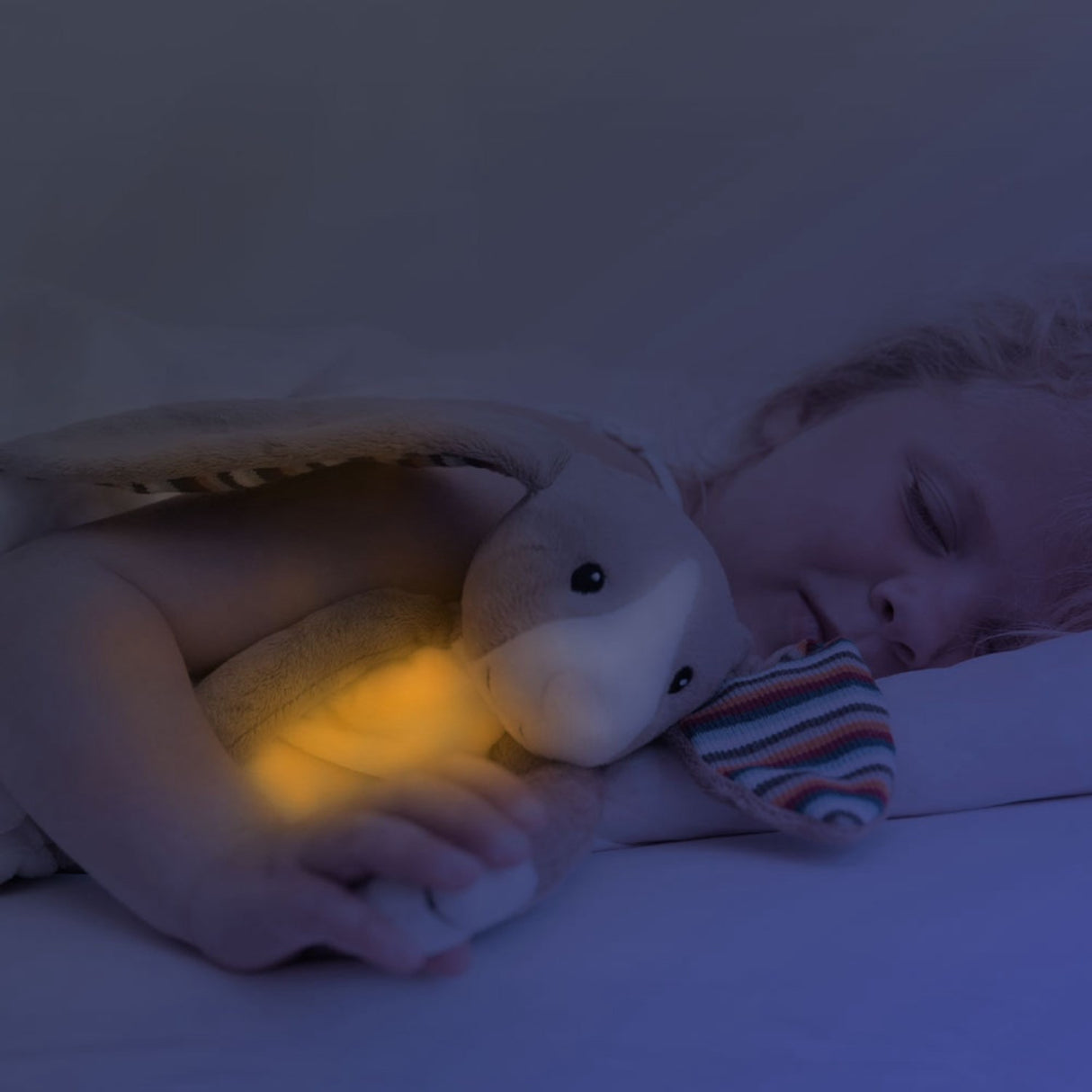Zazu Brown Bo The Rabbit Nightlight
