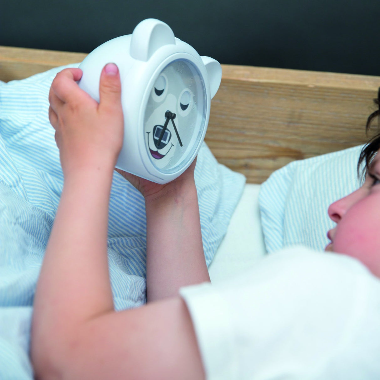 Zazu Grey Bobby The Bjørn Søvntræner