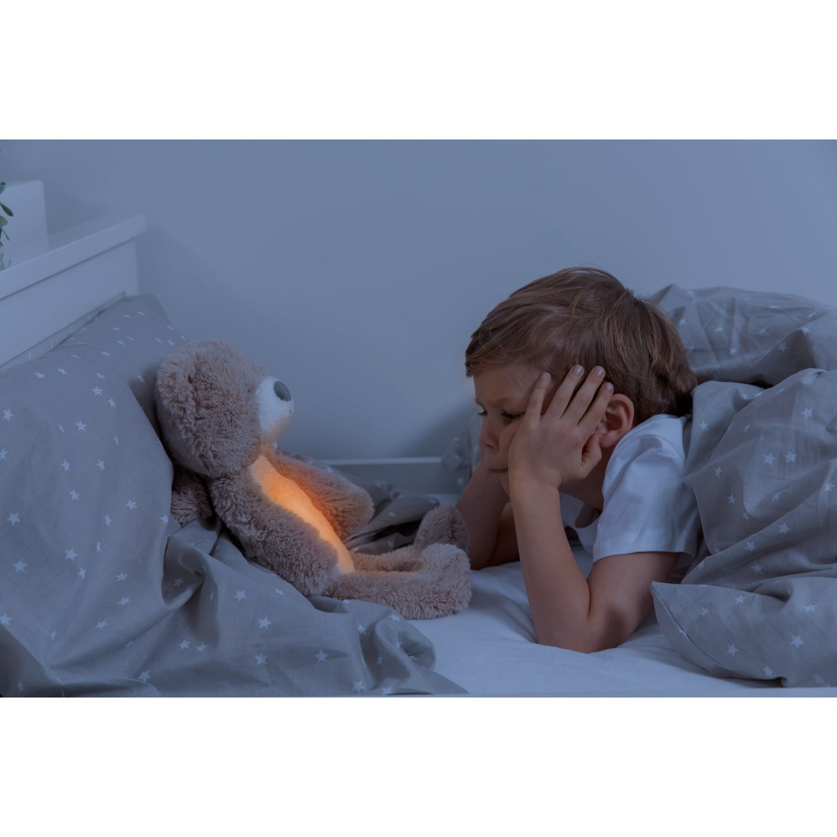 Zazu Brown Brody The Bjørn Søvntræner