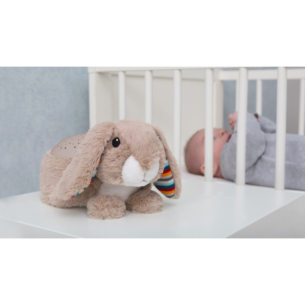 Zazu Brown Ruby The Rabbit Projector