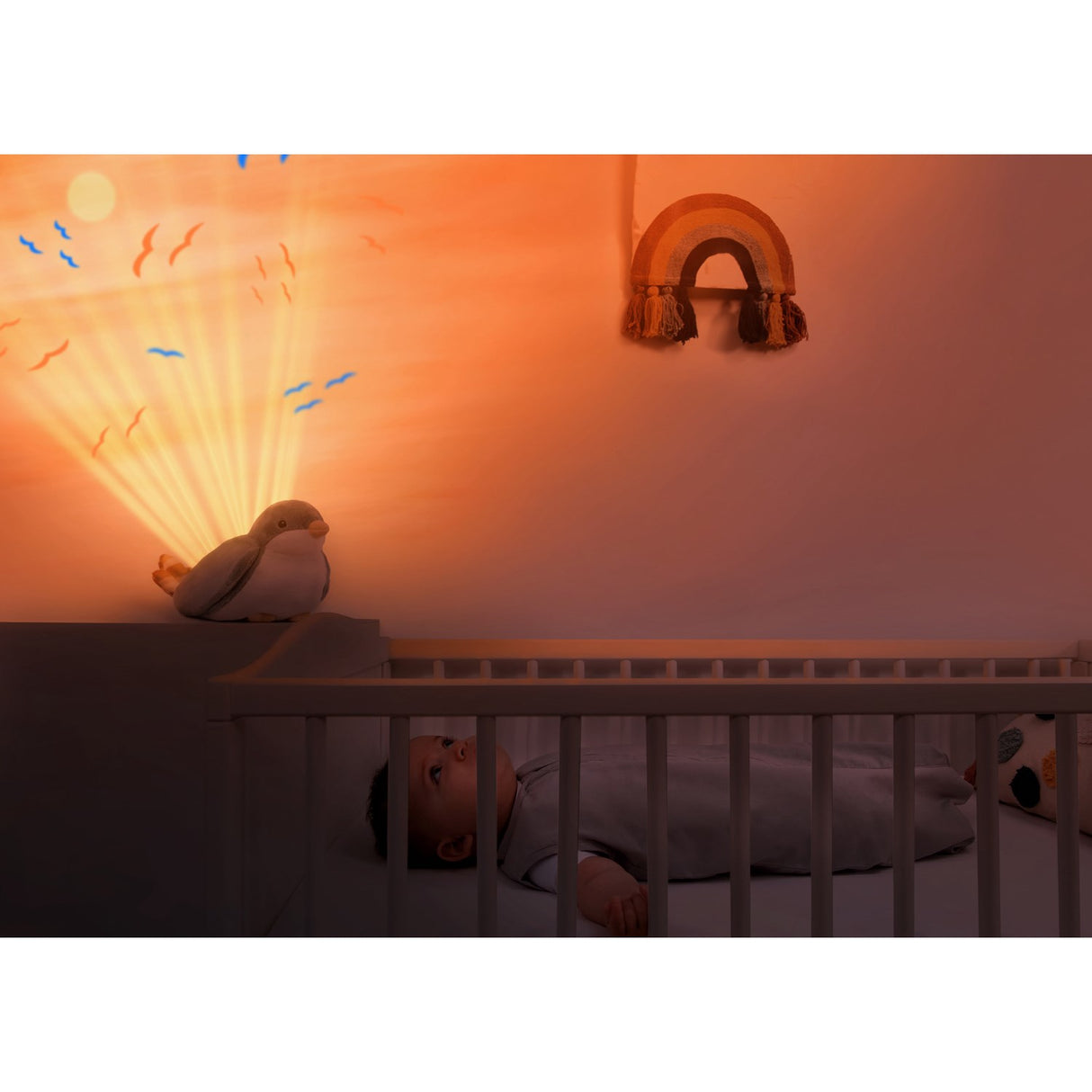 Zazu Red Shally The Sparrow Projector