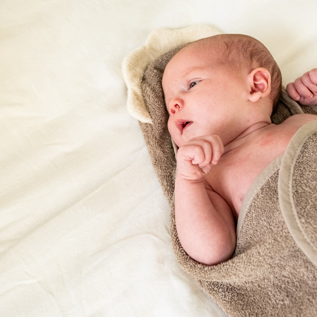 That's Mine Dino Moly Håndklæde Svøb