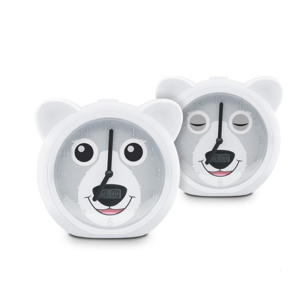 Zazu Grey Bobby The Bjørn Søvntræner