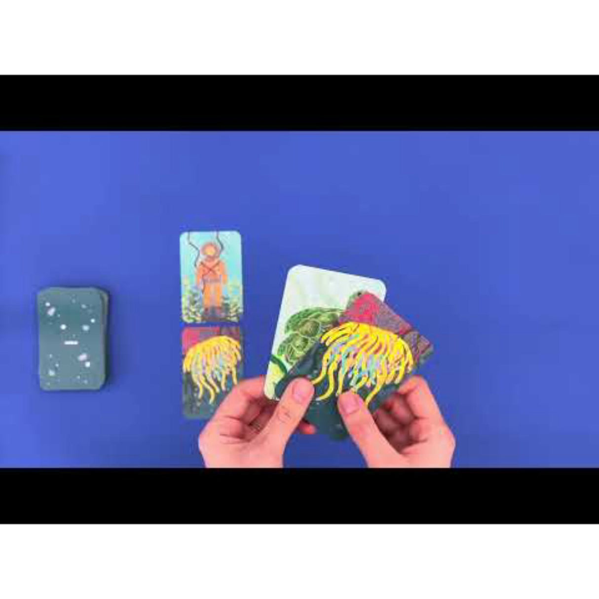 Djeco Kortspil, Bazarquatik