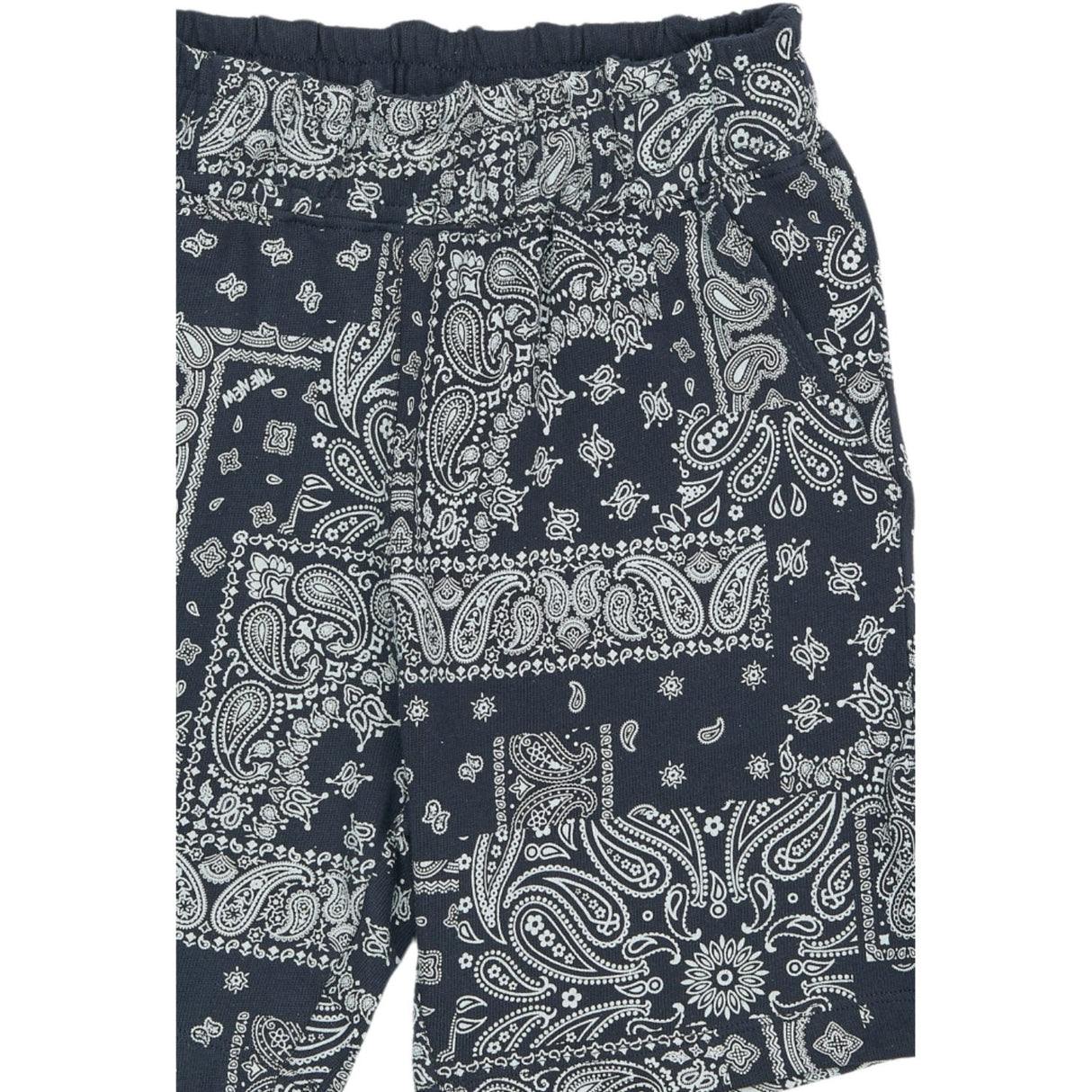 The New Navy Blazer Aop Tnsixten Shorts