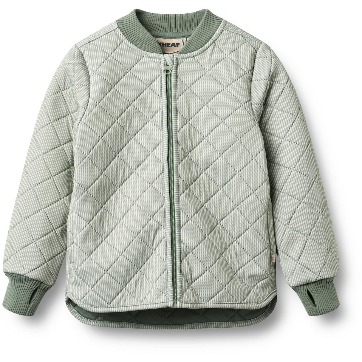 Wheat Green Stripe Thermo Jacket Loui