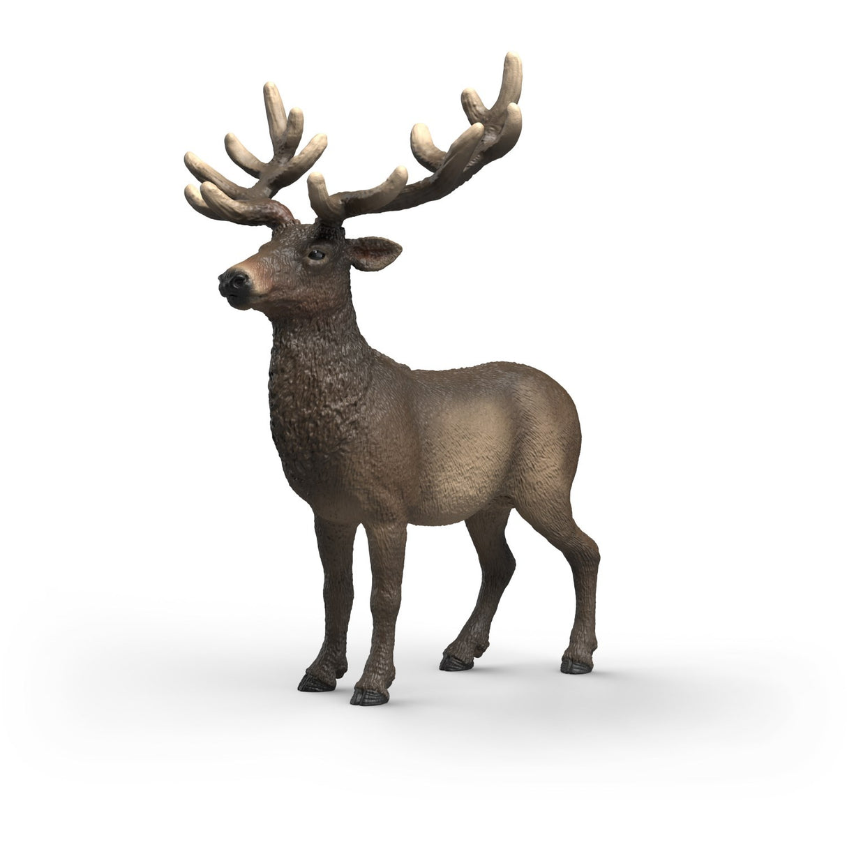 Schleich Elg