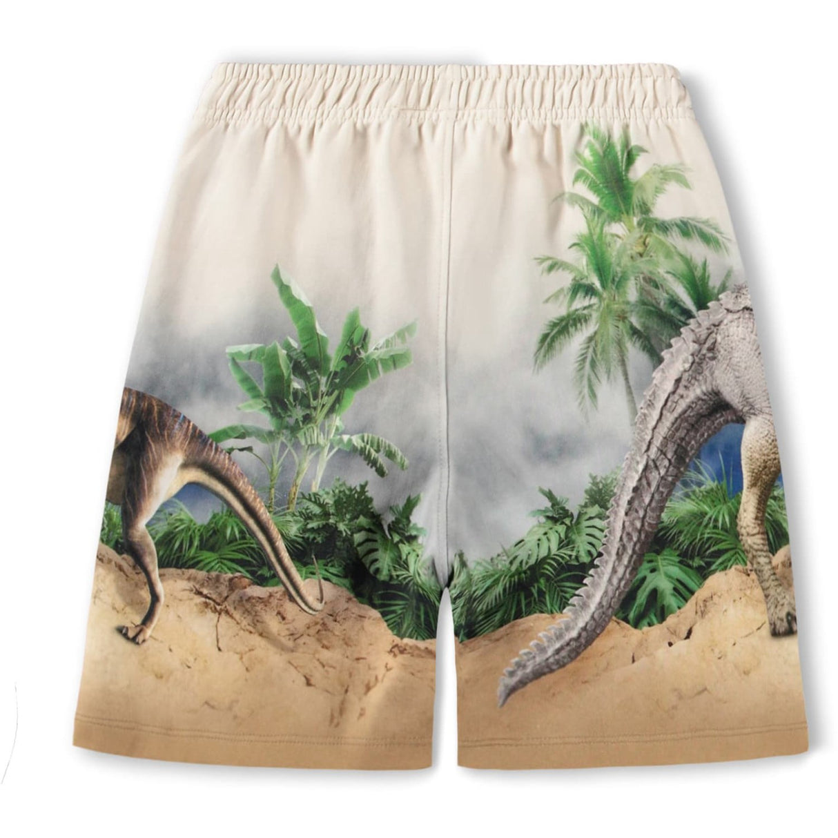 Molo Hot Spring Dinos Amil Shorts