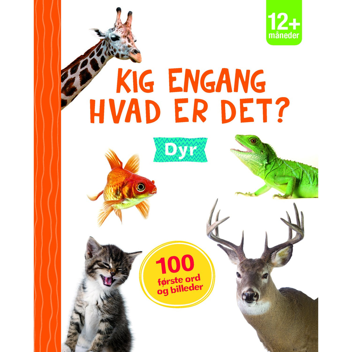 Forlaget Tukan Kig Engang - Hvad Er Det? Dyr