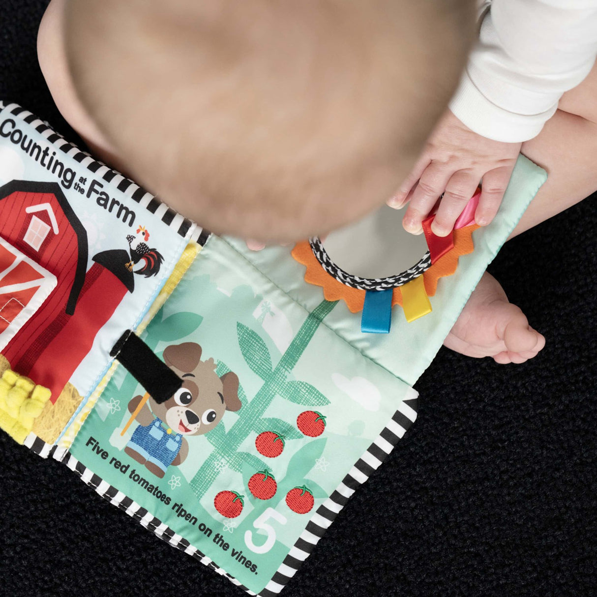 Baby Einstein Counting At The Farm™ Soft Activity Bog