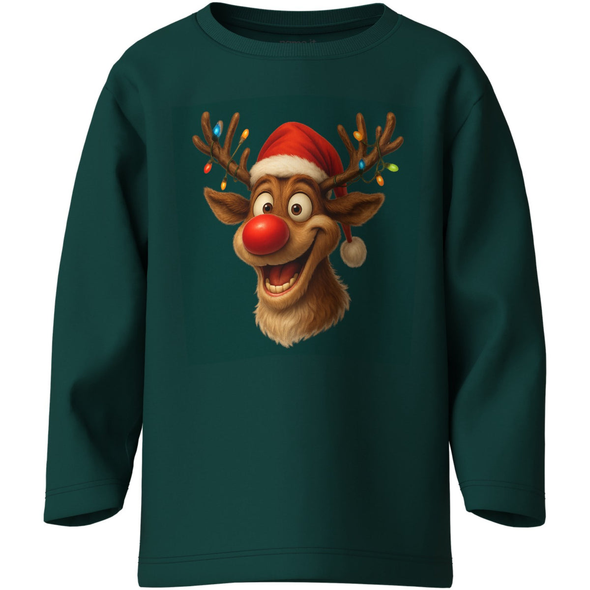 Name It Botanical Garden Reindeer Nmmvosmas Ls Nreg Top