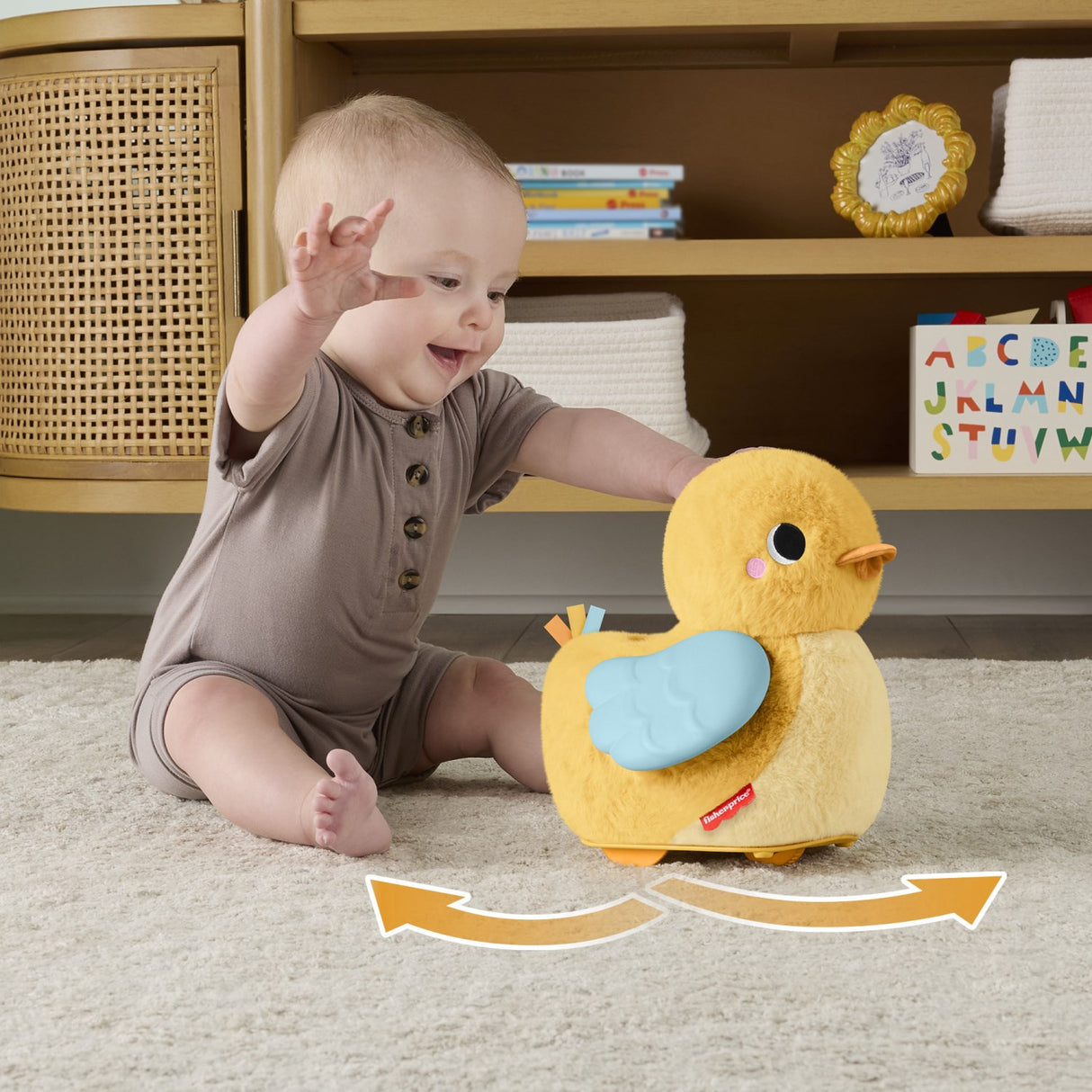 Fisher-Price® Flap & Follow And