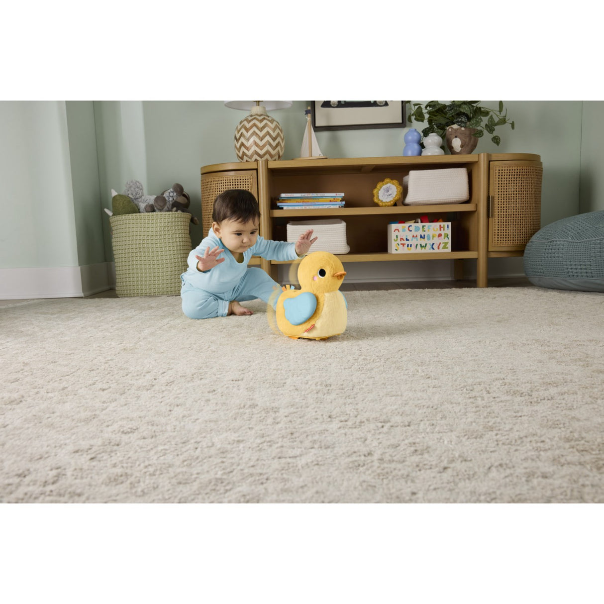 Fisher-Price® Flap & Follow And