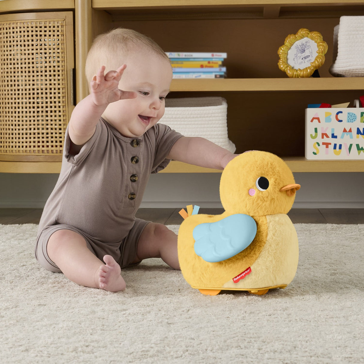 Fisher-Price® Flap & Follow And