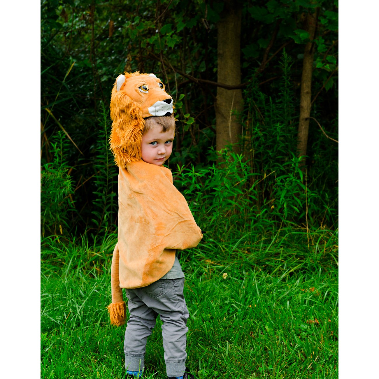 Great Pretenders  Storybook Lion Cape 3