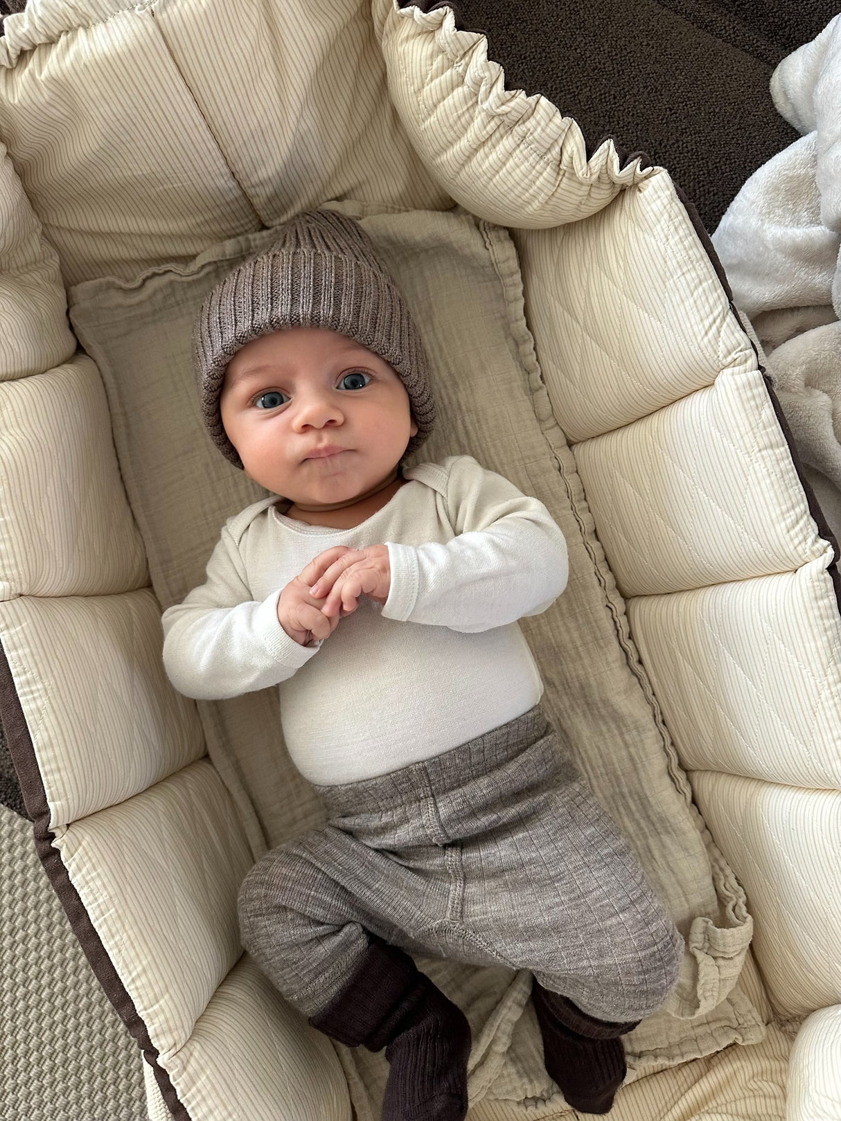 COPENHAGEN COLORS Brown With Cream Solid Stripe Organic Multifunctional Babylift Vol. 2