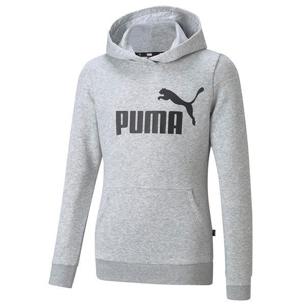 Puma Hoodie Grey