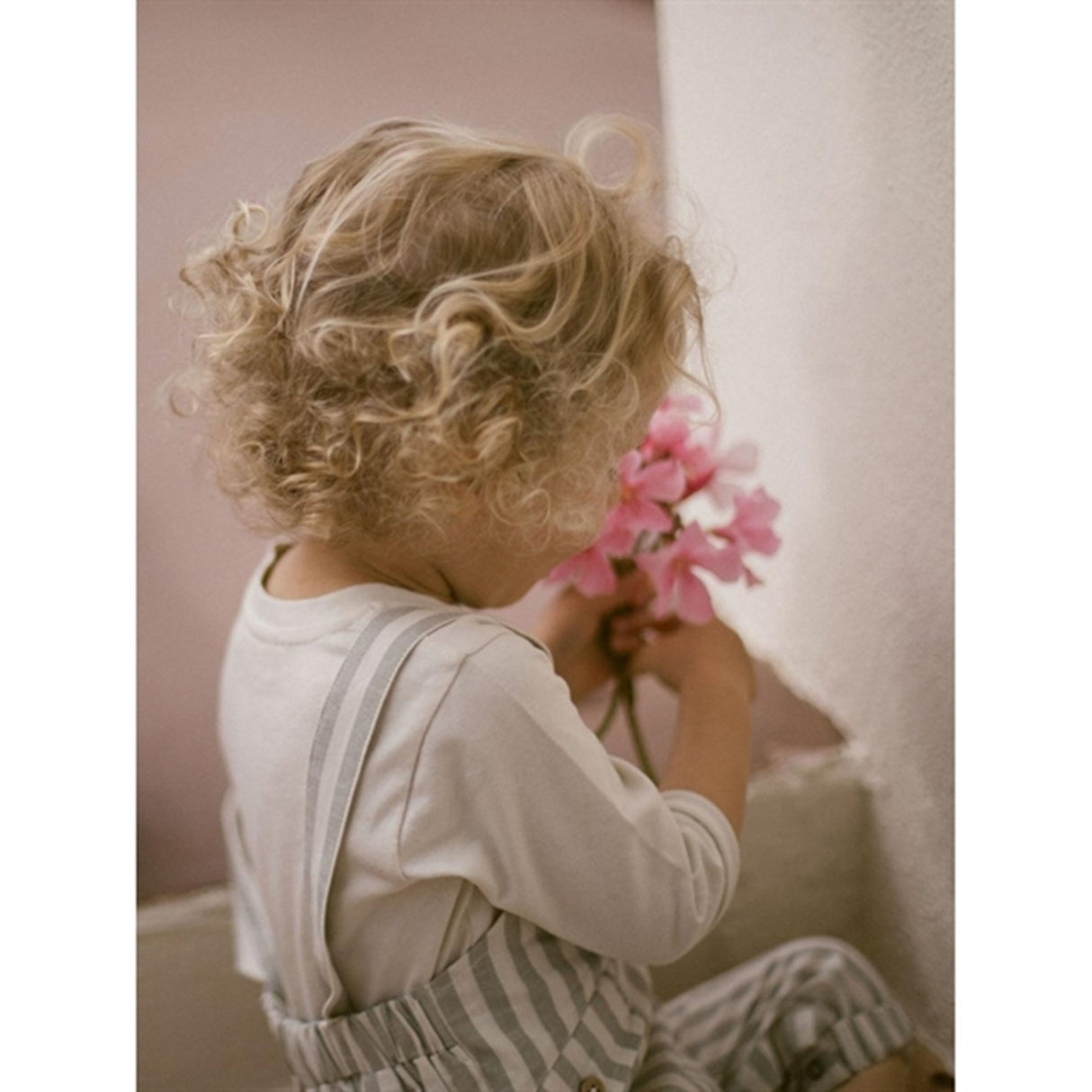 Lil'Atelier Turtledove Dino Buksedragt