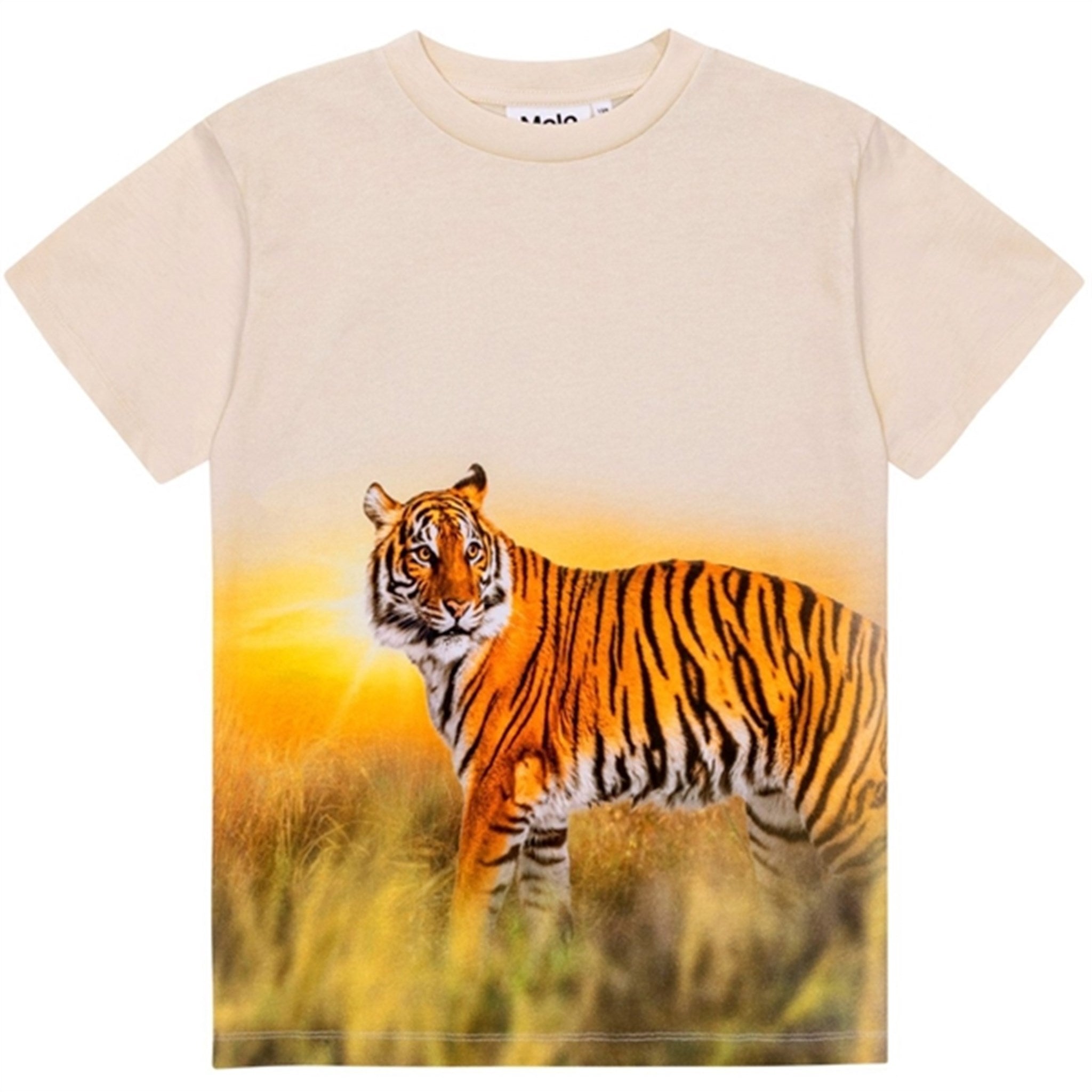 Molo Tiger Sand Roxo T-Shirt