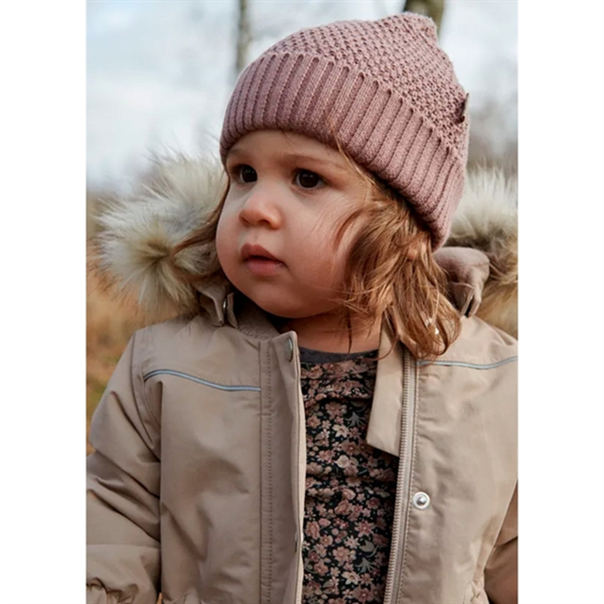 Wheat Winter Flowers Liv Body