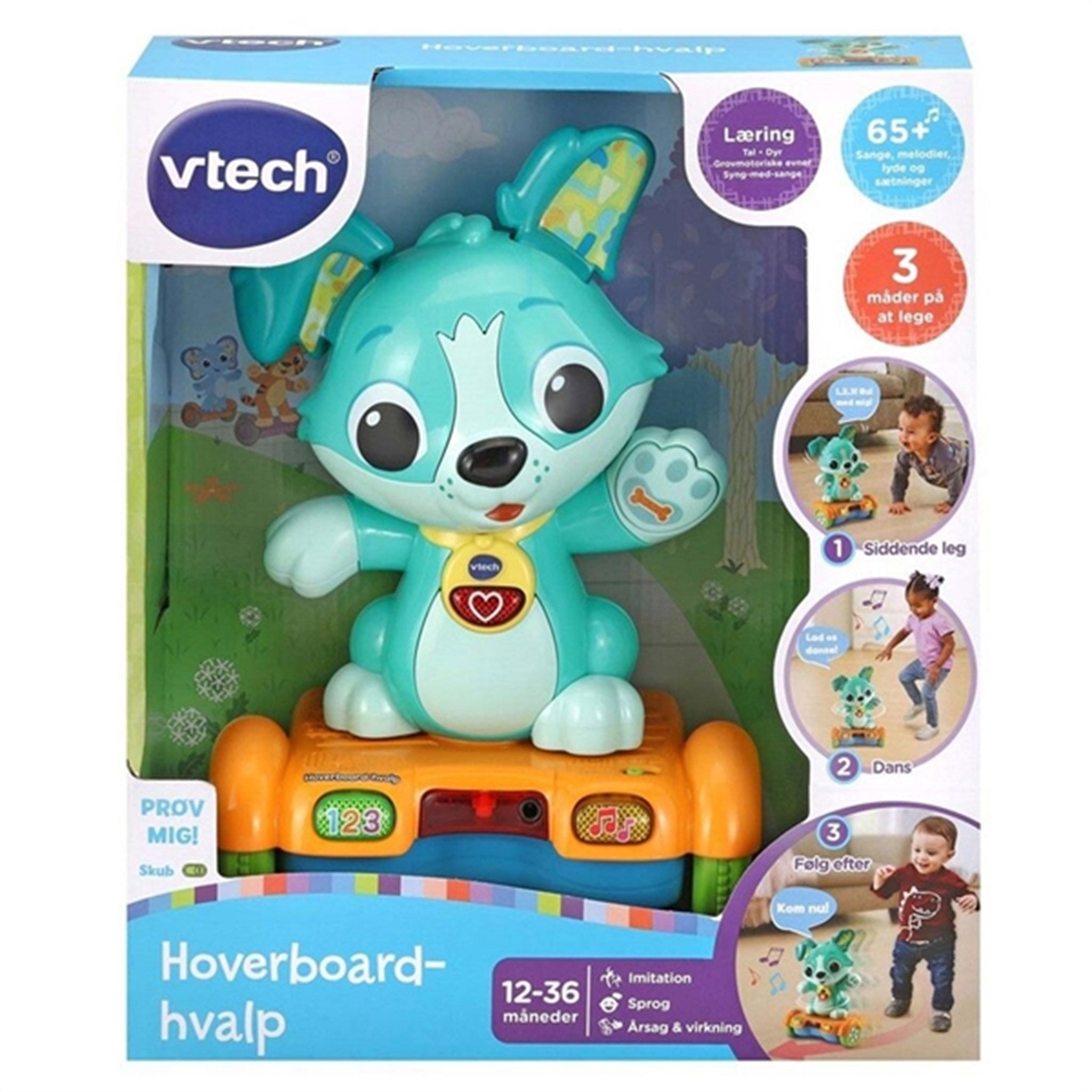 Vtech Baby Chase Me Puppy