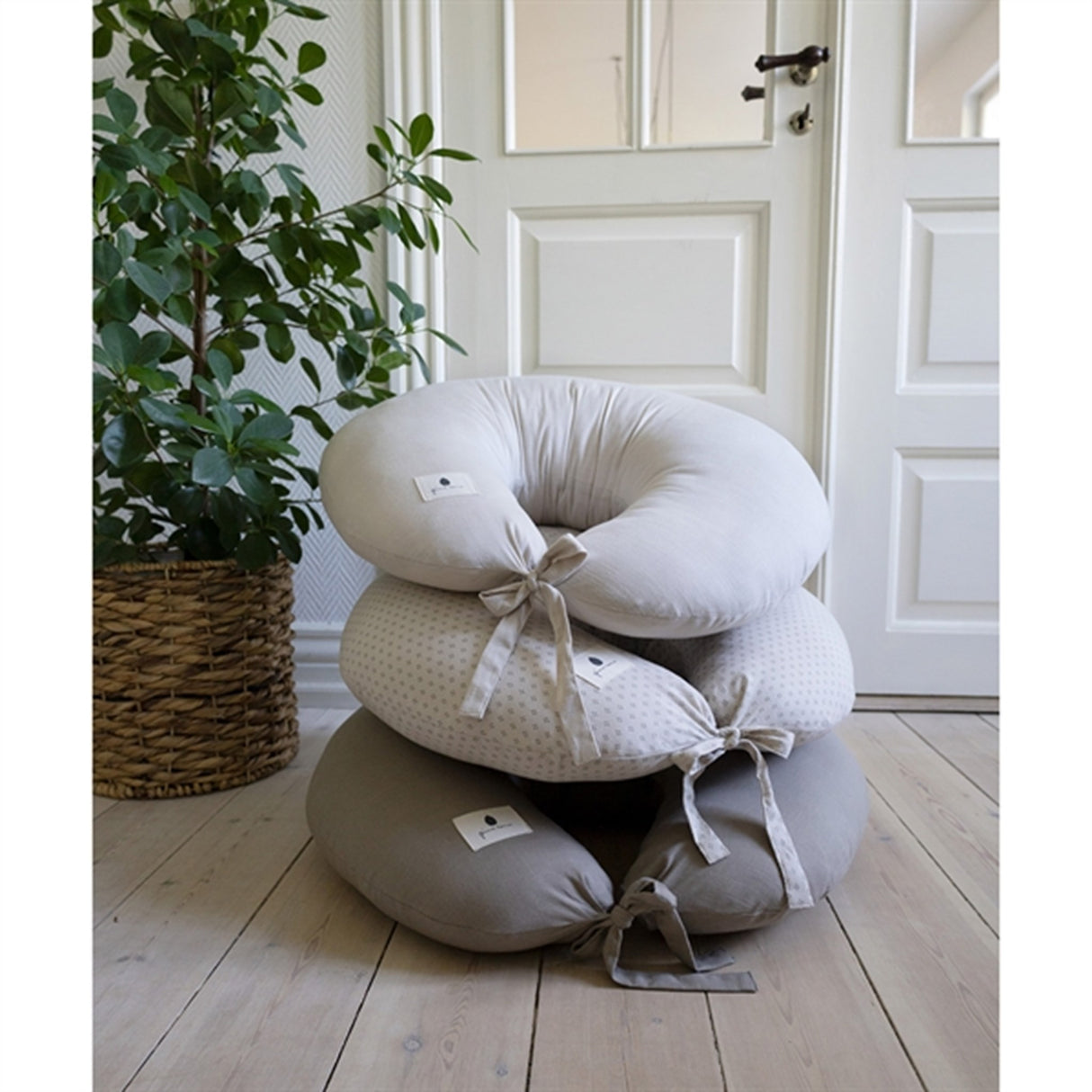 Pine Cone Ammepude Nora Mushroom