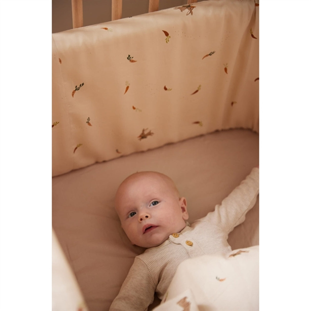 FILIBABBA Sengerand Carrot Thief