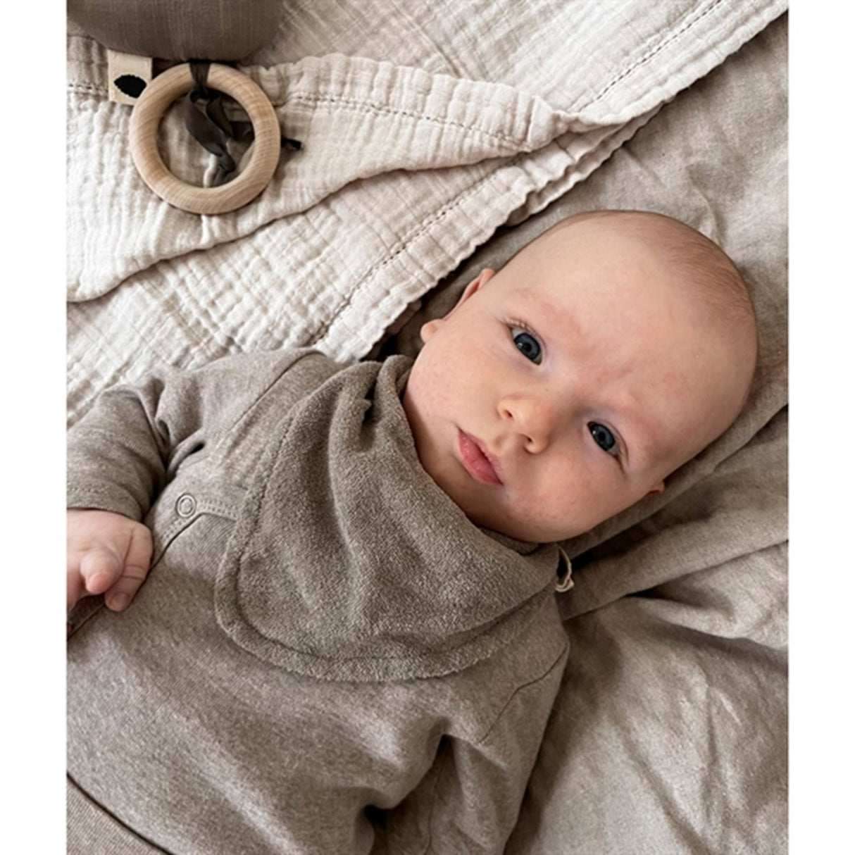 Pine Cone Lui Hagesmæk Mushroom