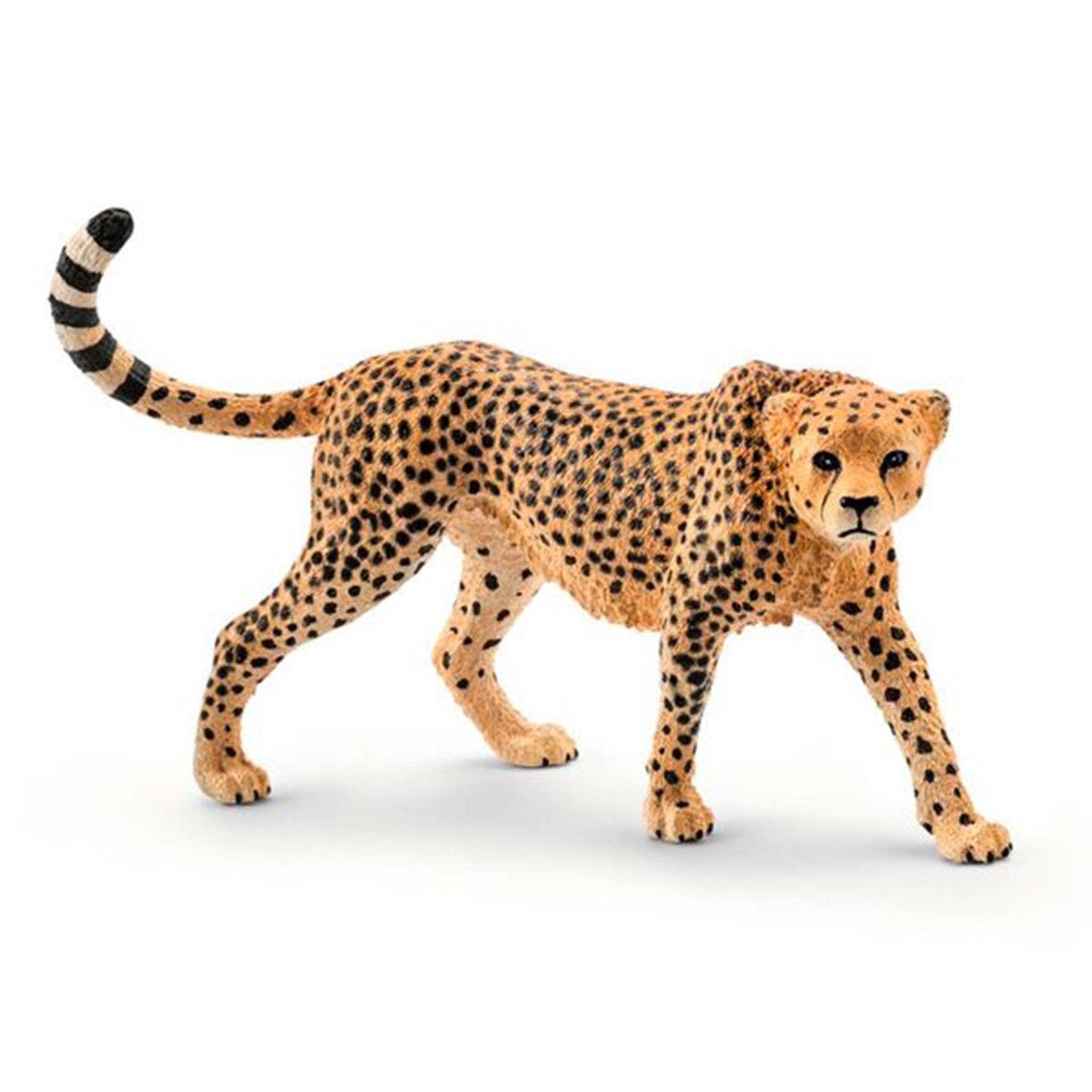 schleich® Wild Life Gepard