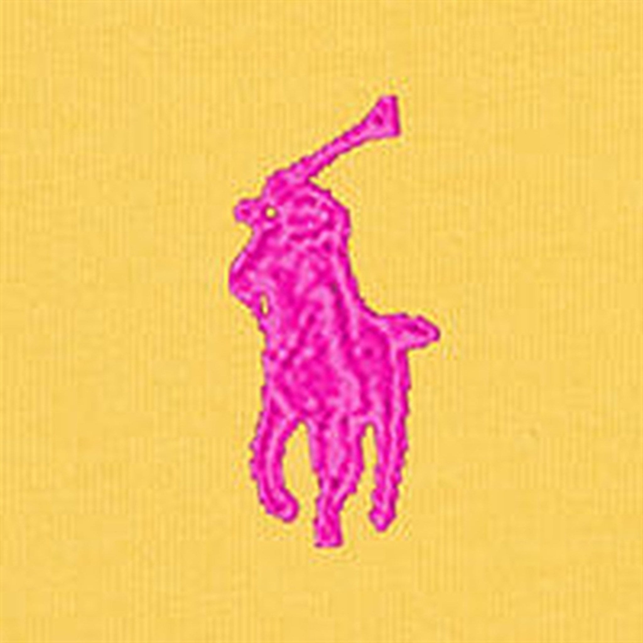 Polo Ralph Lauren Girls T-Shirt Chrome Yellow W/ Bright Pink 3