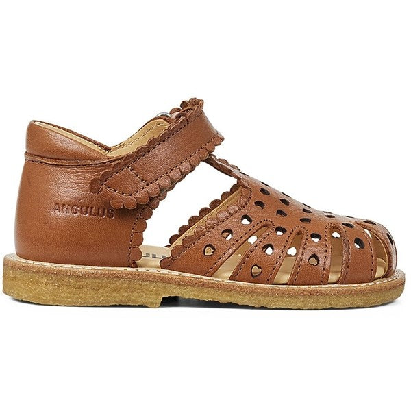 Angulus Begyndersandal M. Velcrolukning Cognac