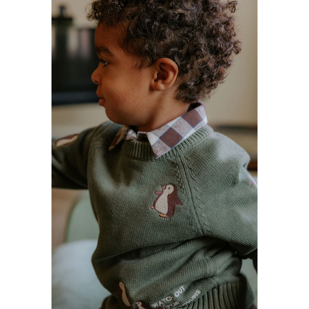 Fliink Beetle Mahdi Pingo Pullover