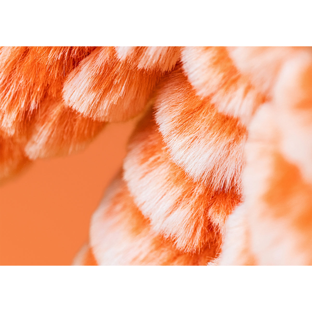 Jellycat Fizzleskip Bunny Original