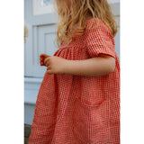 Lalaby Cherry Check Roberta Dress - Cherry Check 10