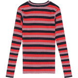 The New Multi Stripe Lia Knit Pullover 2