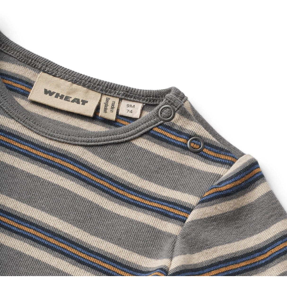 Wheat Stormy Blue Stripe Body Freddie