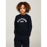 Tommy Hilfiger Hilfiger 1985 Sweatshirt Desert Sky 3