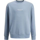 Jack & Jones Junior Mountain Spring Jorvesterbro Sweat Crew Neck Noos