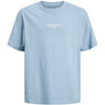 Jack & Jones Junior Mountain Spring Jorvesterbro T-Shirt Crew Neck Noos