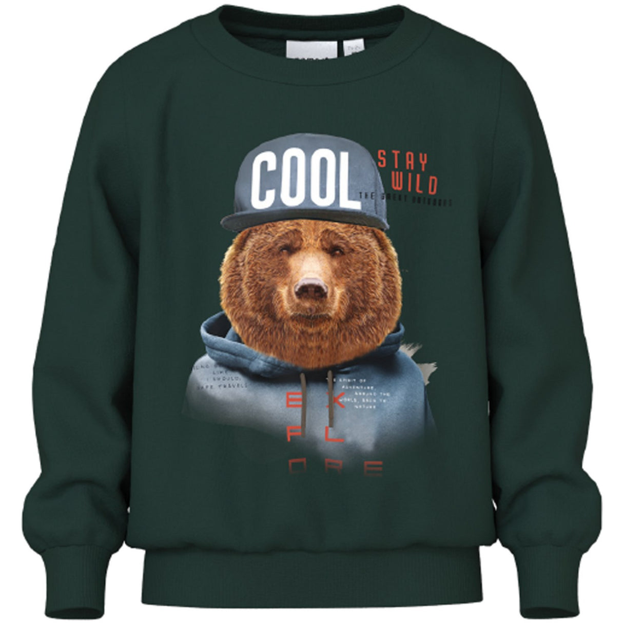 Name It Pine Grove Labear Sweatshirt