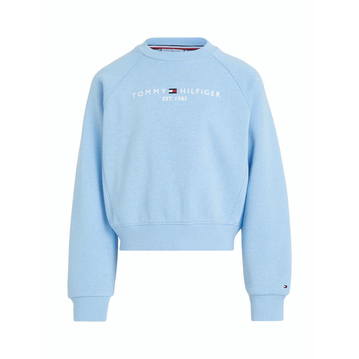 Tommy Hilfiger Vessel Blue Essential Embroidered Fleece Sweatshirt 5