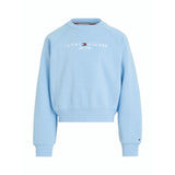 Tommy Hilfiger Vessel Blue Essential Embroidered Fleece Sweatshirt 5