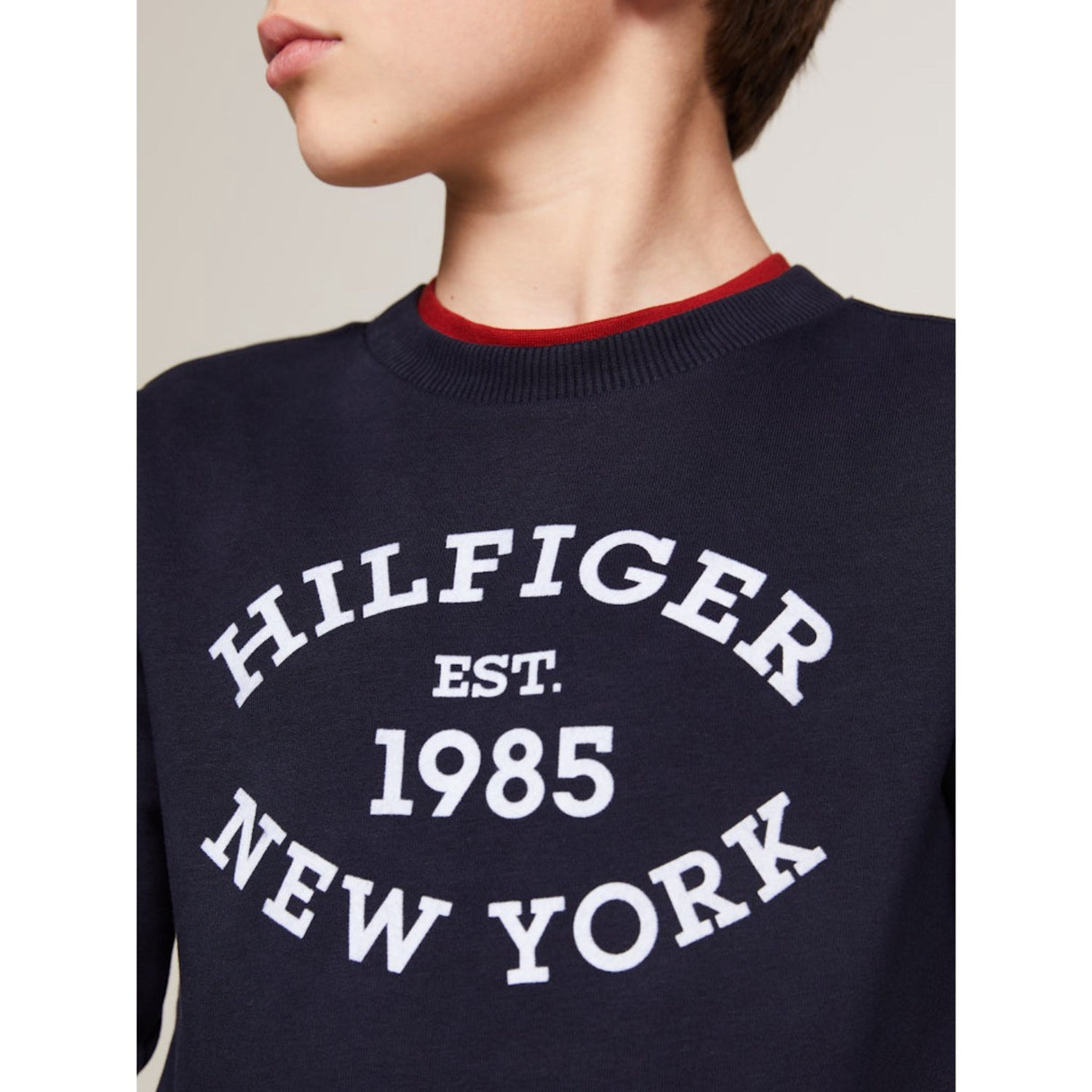 Tommy Hilfiger Desert Sky Monotype Flock Reg Sweatshirt 4