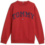 Tommy Hilfiger Dark Magma Varsity Embroidery Sweatshirt