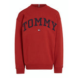 Tommy Hilfiger Dark Magma Varsity Embroidery Sweatshirt 5