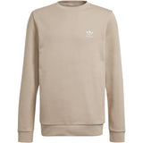 adidas Originals Magbei  Crew Sweatshirt