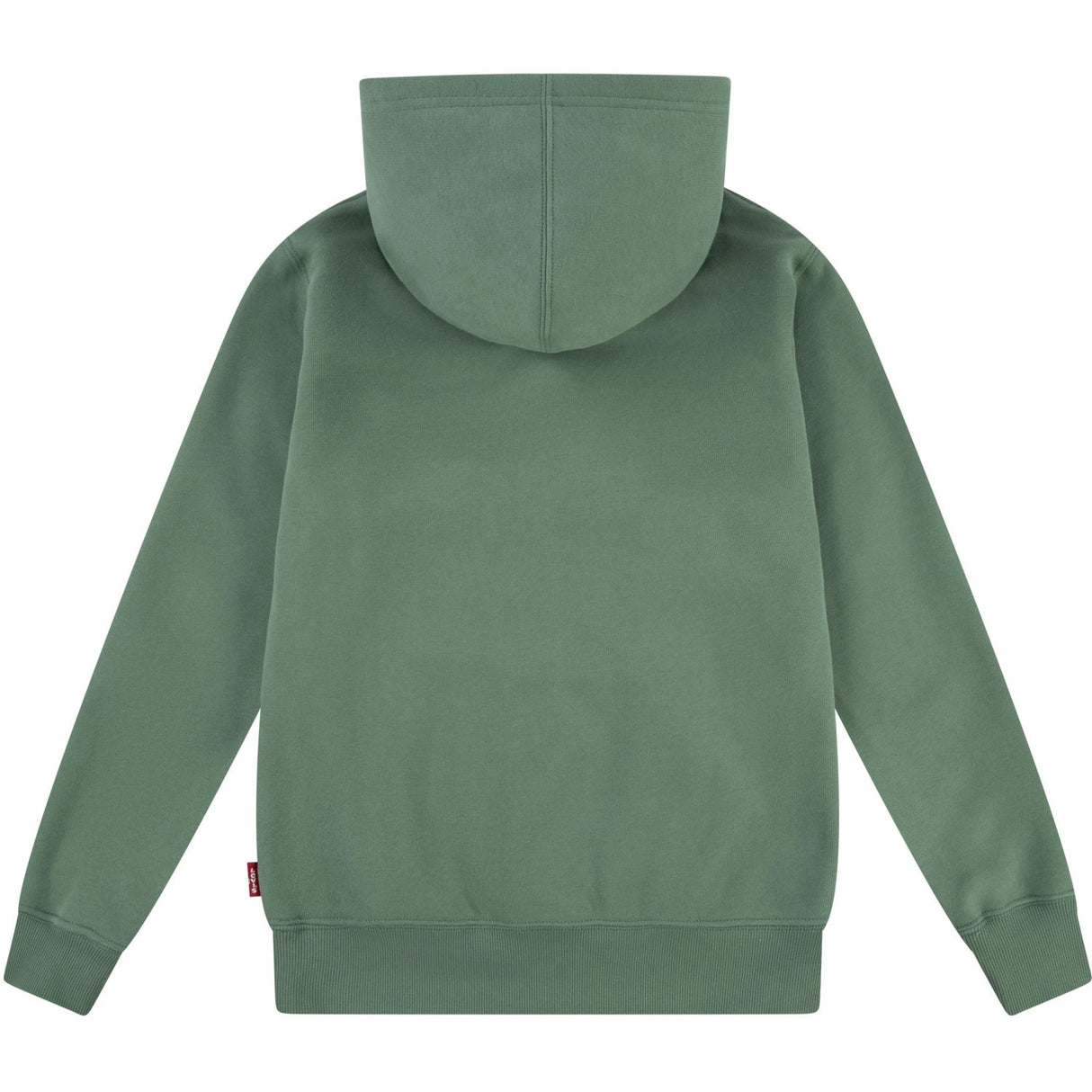 Levi's GREEN Lasso It Up Pullover Hoodie